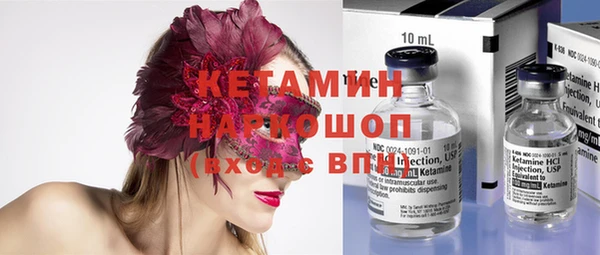 шишки Абаза