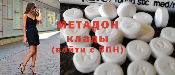 шишки Абаза