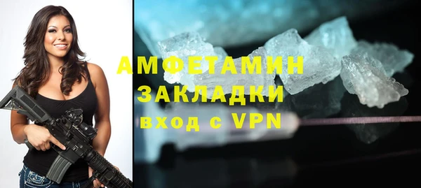 шишки Абаза