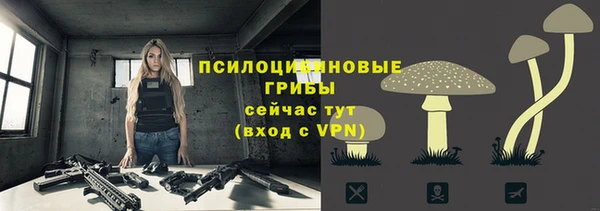 шишки Абаза
