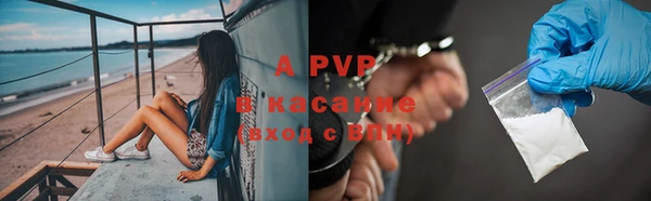 шишки Абаза