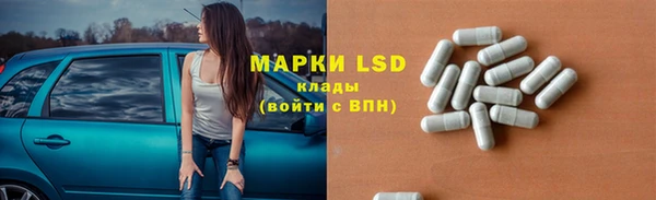 шишки Абаза