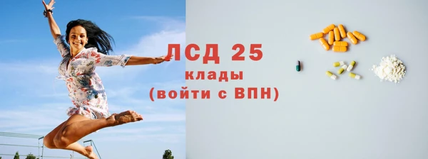 шишки Абаза