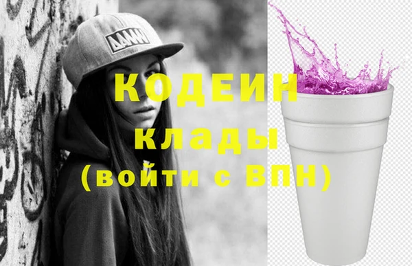 шишки Абаза
