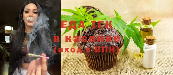 шишки Абаза