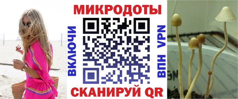 ОМГ ОМГ ONION  купить закладку  Староминская  Псилоцибиновые грибы Psilocybine cubensis 
